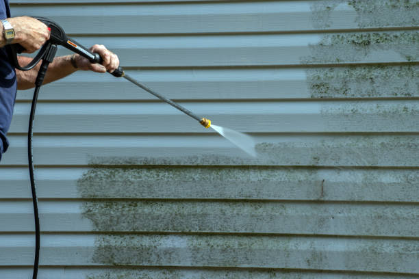Best Pool Deck Cleaning in Kingsville, TX